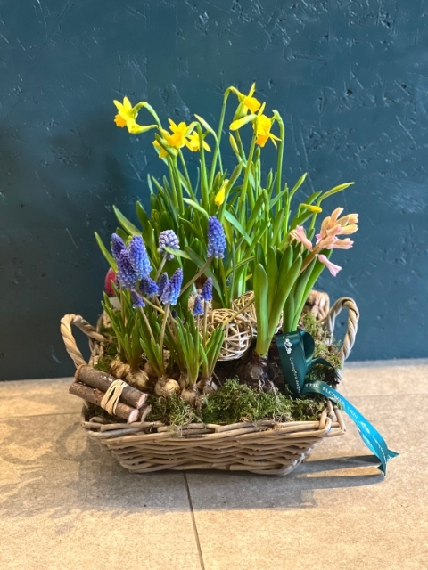 luxury planted basket